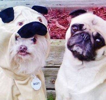 Are you an imposter? Aesthetics business confidence