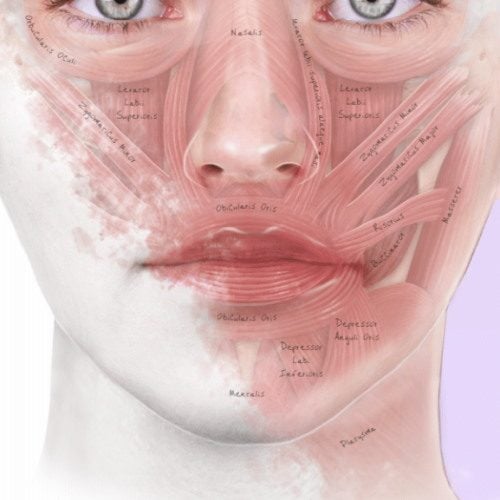 Masseter reduction Botox pattern to avoid