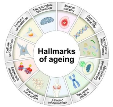 How to Reduce Biological Age