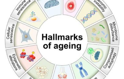 How to Reduce Biological Age