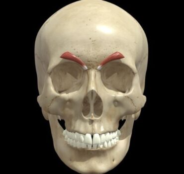 Botox Injection Depth: Advanced Techniques for Upper Face Treatment