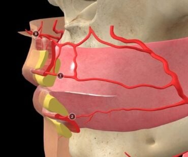 Why Most Injectors Struggle with Facial Anatomy