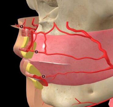 Why Most Injectors Struggle with Facial Anatomy