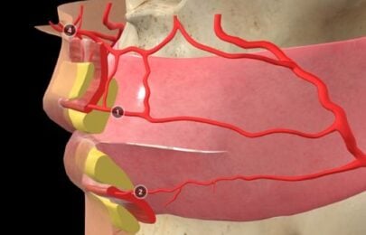 Why Most Injectors Struggle with Facial Anatomy