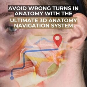 Ultimate 3D anatomy navigation system