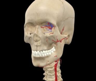 Understanding Facial Danger Zones: A Probabilistic Approach