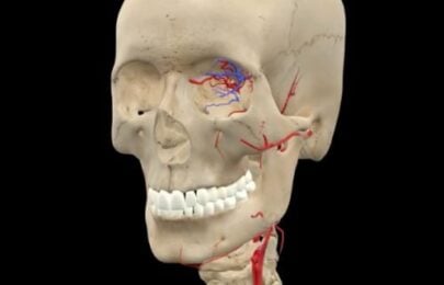 Understanding Facial Danger Zones: A Probabilistic Approach