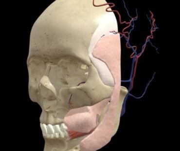 5 Facial Layers Aesthetic Injector Guide