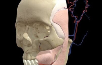 5 Facial Layers Aesthetic Injector Guide