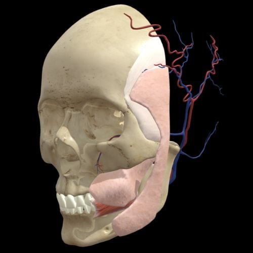 5 Facial Layers Aesthetic Injector Guide