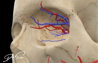 Understanding Facial Danger Zones: A Probabilistic Approach