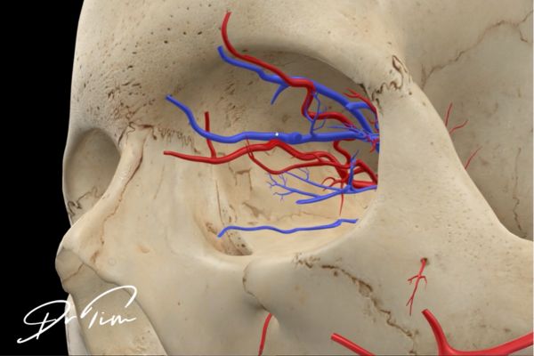 Understanding Facial Danger Zones: A Probabilistic Approach