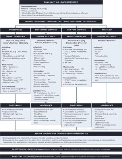 How to Treat Skin Quality Kerscher M Dr Nieves Romero