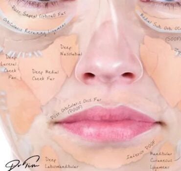 Understanding Deep Fat Pads: Anatomy, Consultations & Treatment