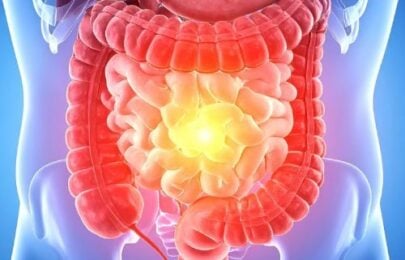 Dietary Fiber: The Ultimate Systemic Modulator