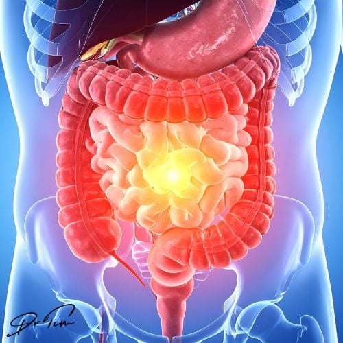 Dietary Fiber: The Ultimate Systemic Modulator